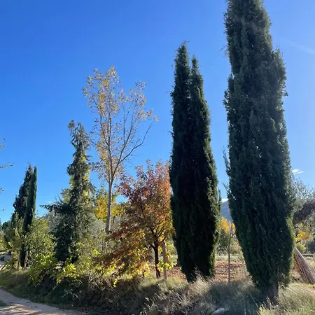 Летний дом Maset Del Riu