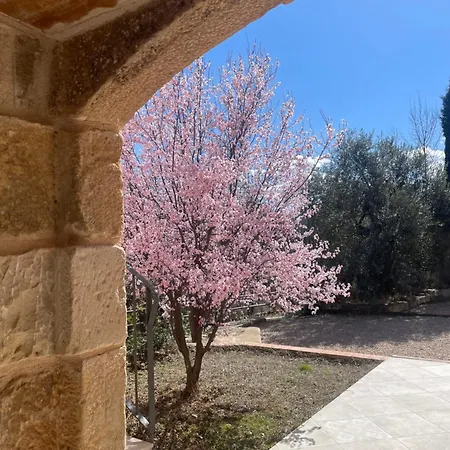 Maset Del Riu * Valderrobres