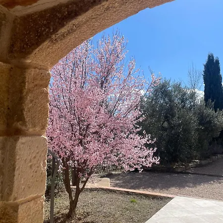 Maset Del Riu Летний дом Вальдерробрес