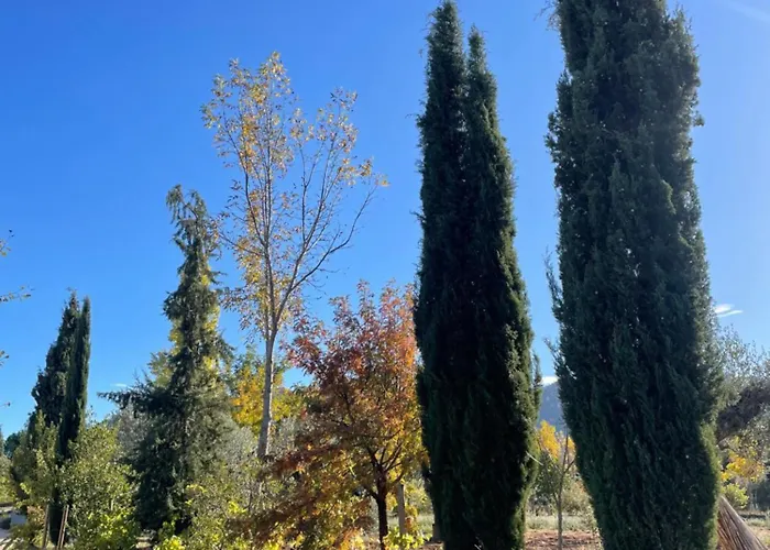 乡村民宿 Maset Del Riu