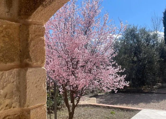 Maset Del Riu * Valderrobres