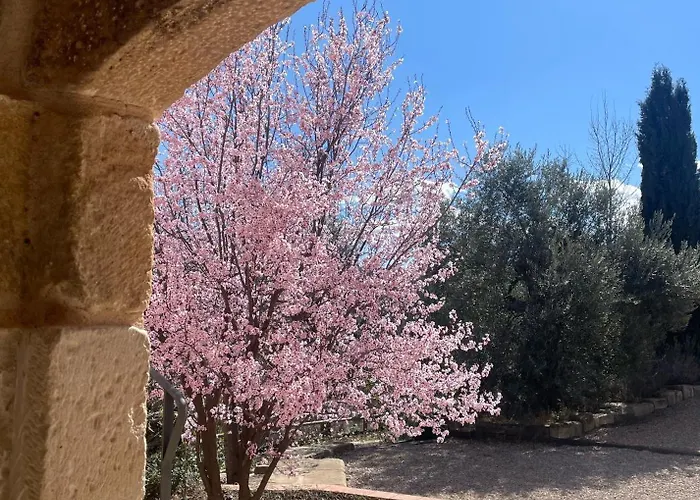 Maset Del Riu Lantställe Valderrobres